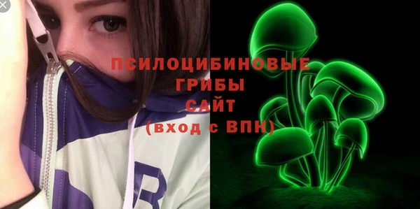 мдпв Вязники